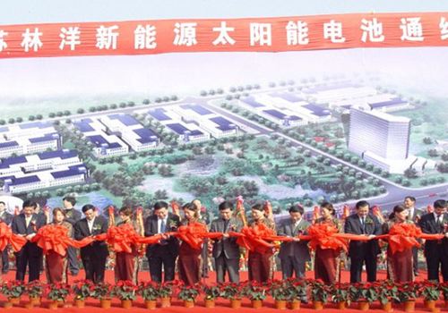 江蘇林洋新能源有限公司成立，10月，第一條太陽能電池線投產(chǎn)運(yùn)行